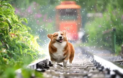 2024년 올해 장마기간 대비 예측