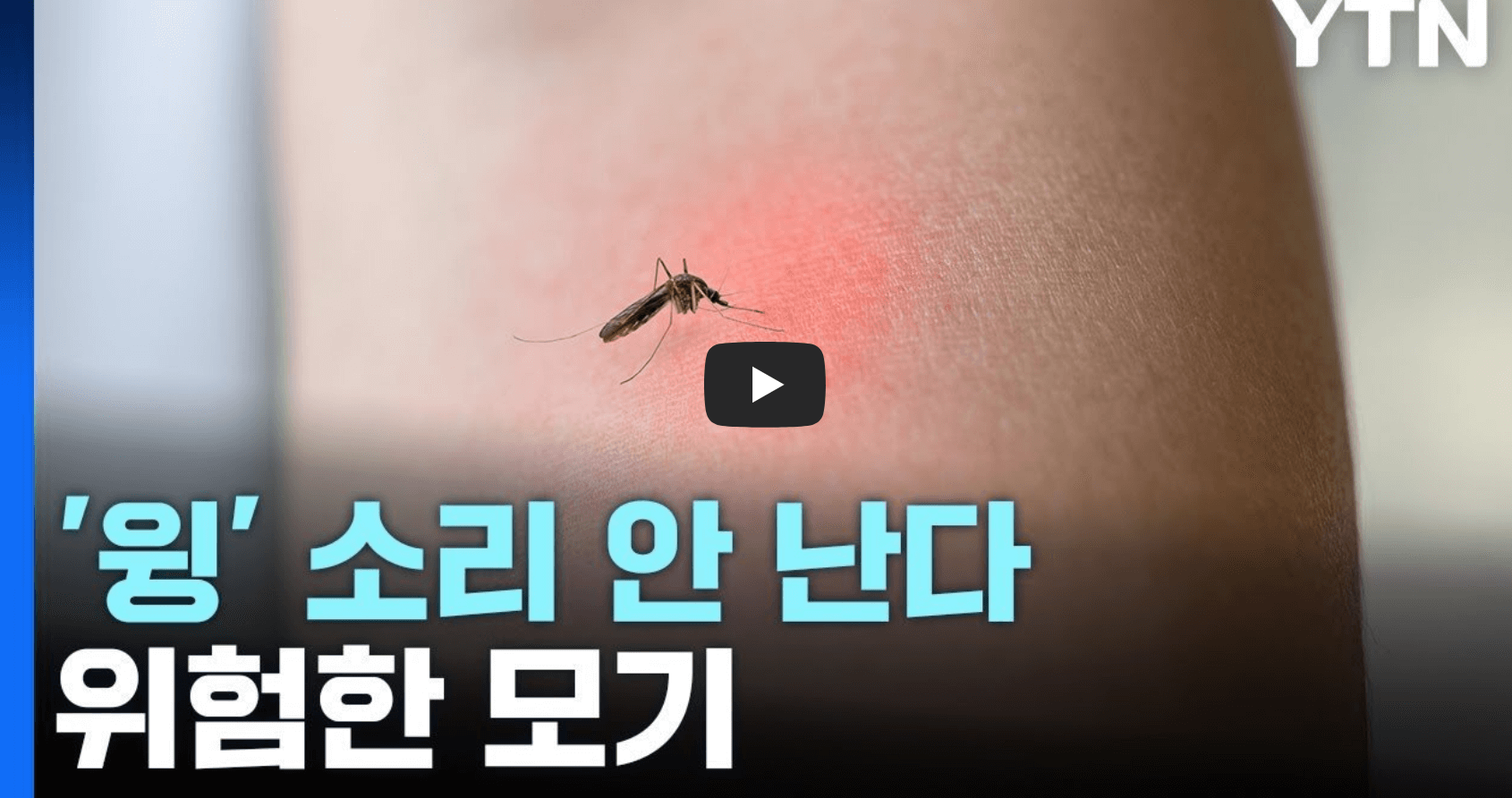 말라리아 모기 주의 영상 섬네일