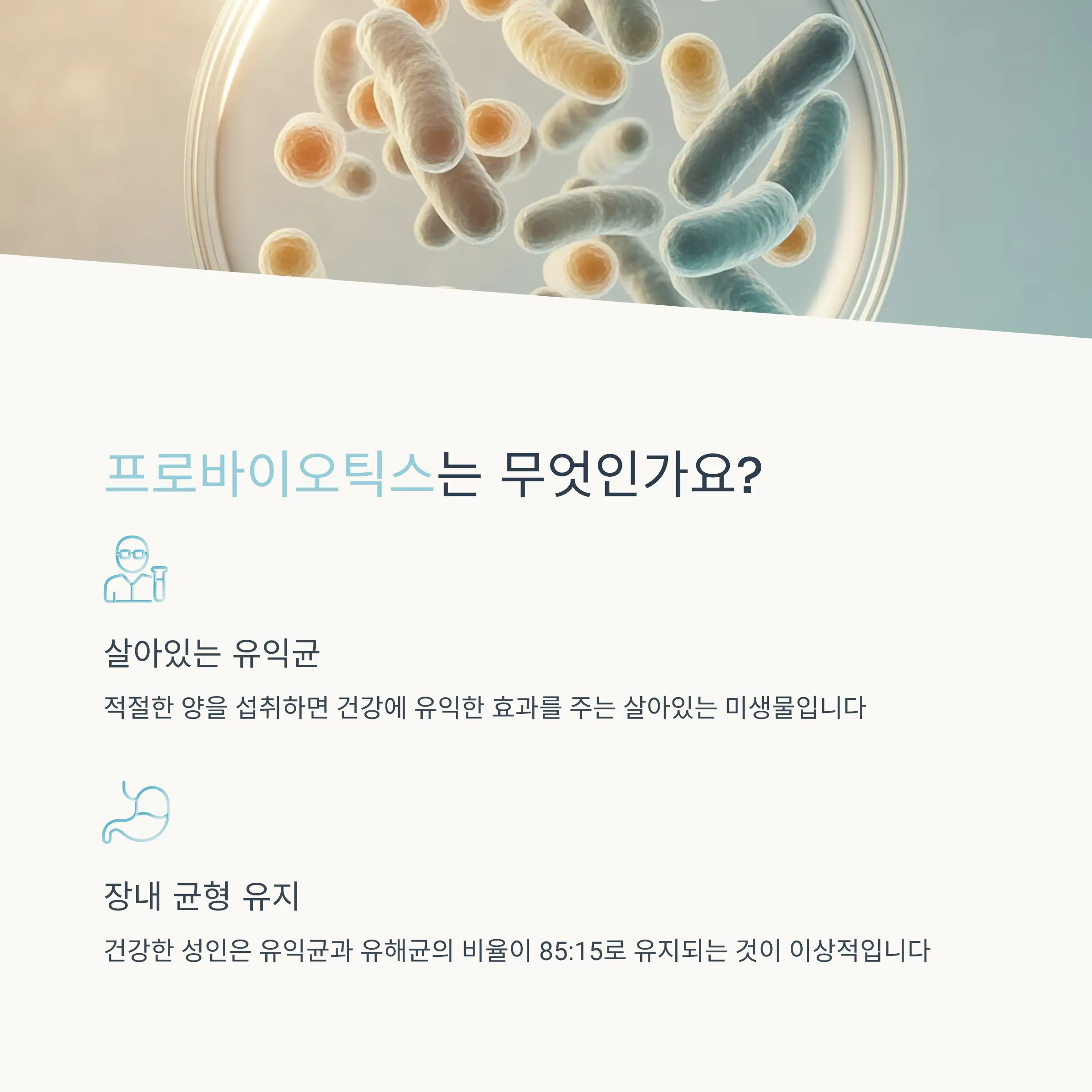 ⏰ 올바른 섭취 시간과 방법