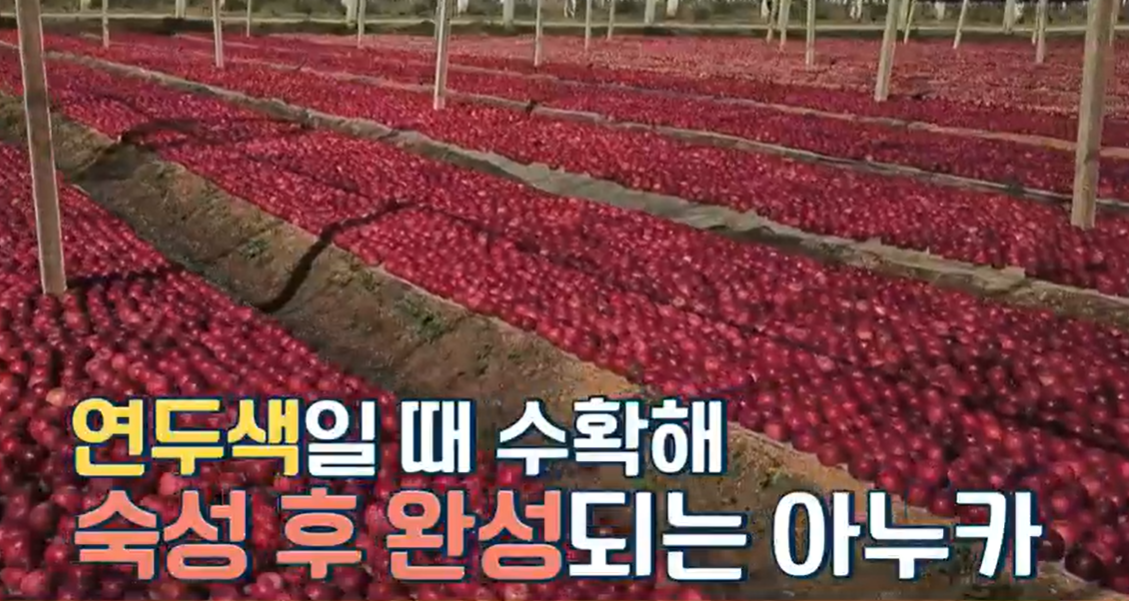 아누카사과분말