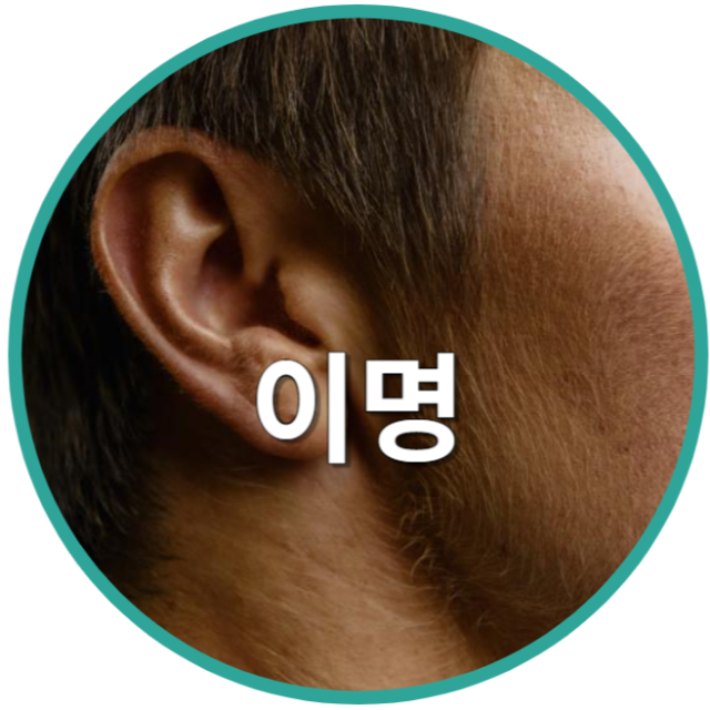 이명