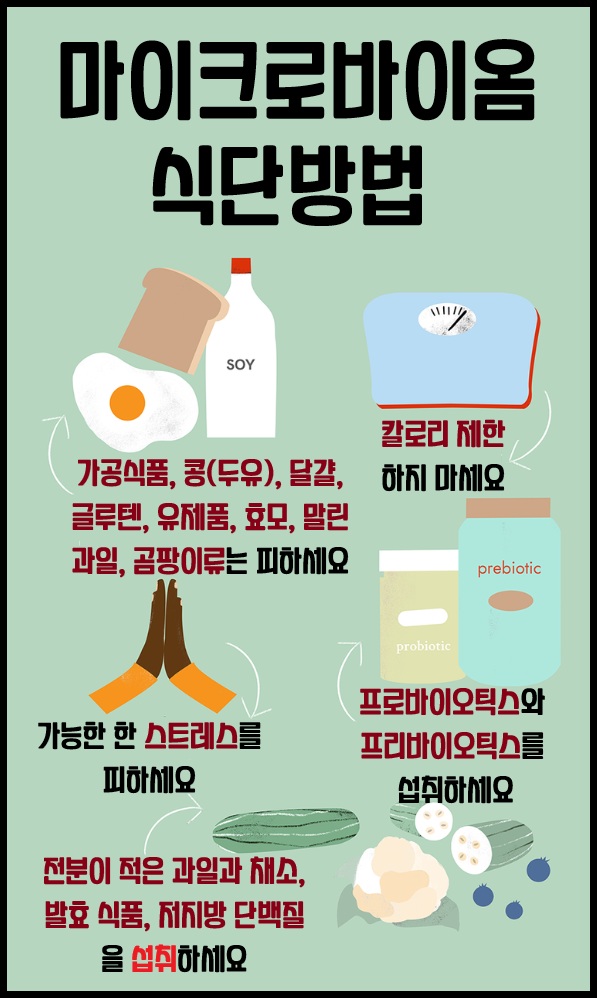 마이크로바이옴 식단방법