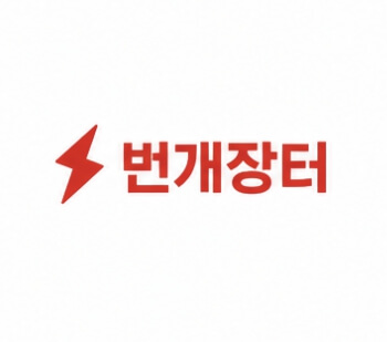 번개장터 바로가기