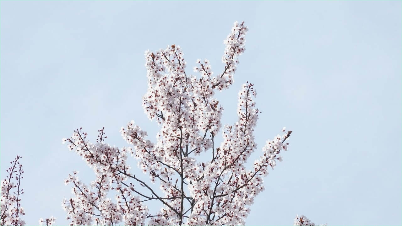 코인노래방 창업비용