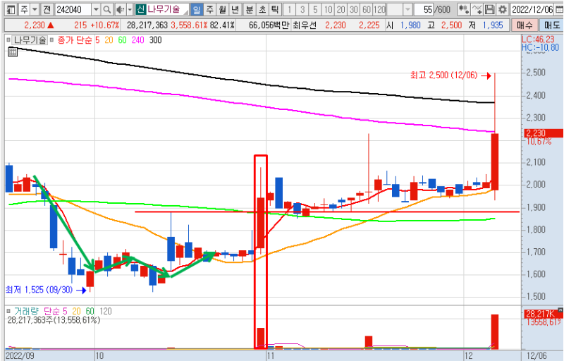 나무기술 일봉 차트