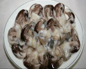 남당항 새조개 축제_13