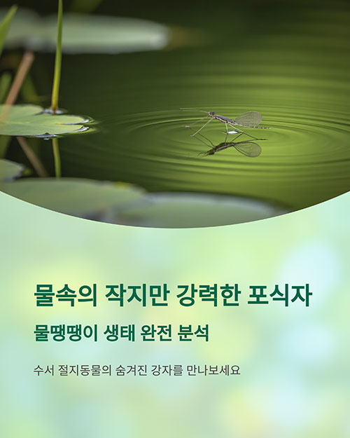 수서 절지동물의 놀라운 세계