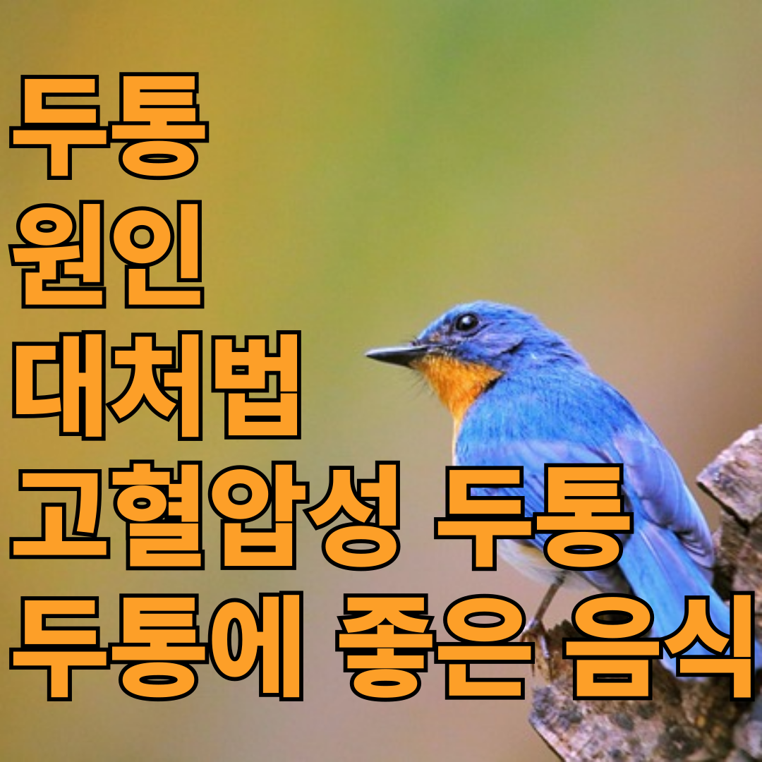 두통 - 원인, 대처법, 고혈압성 두통, 두통에 좋은 음식