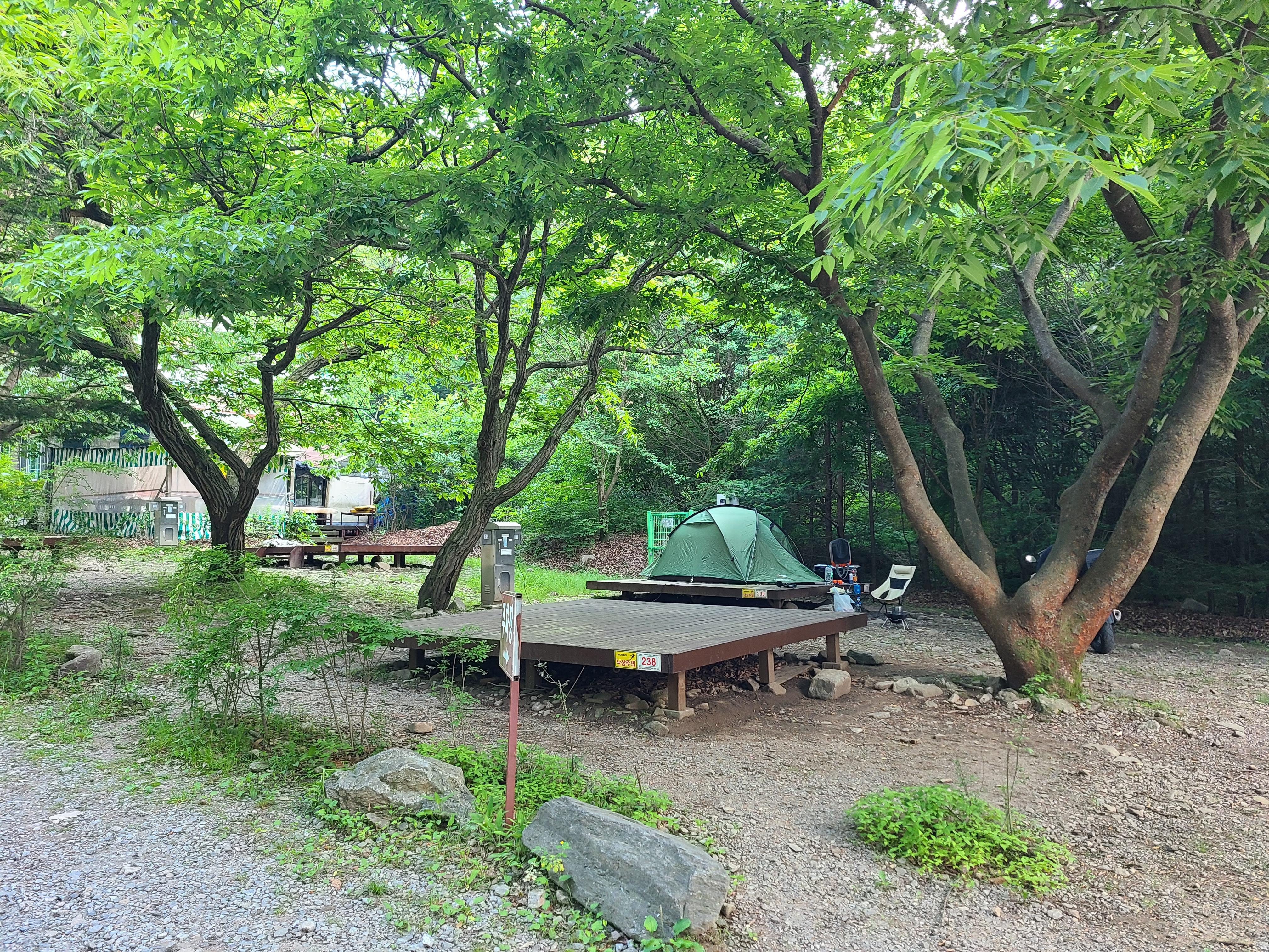 유명산자연휴양림 제2야영장 238데크 주변