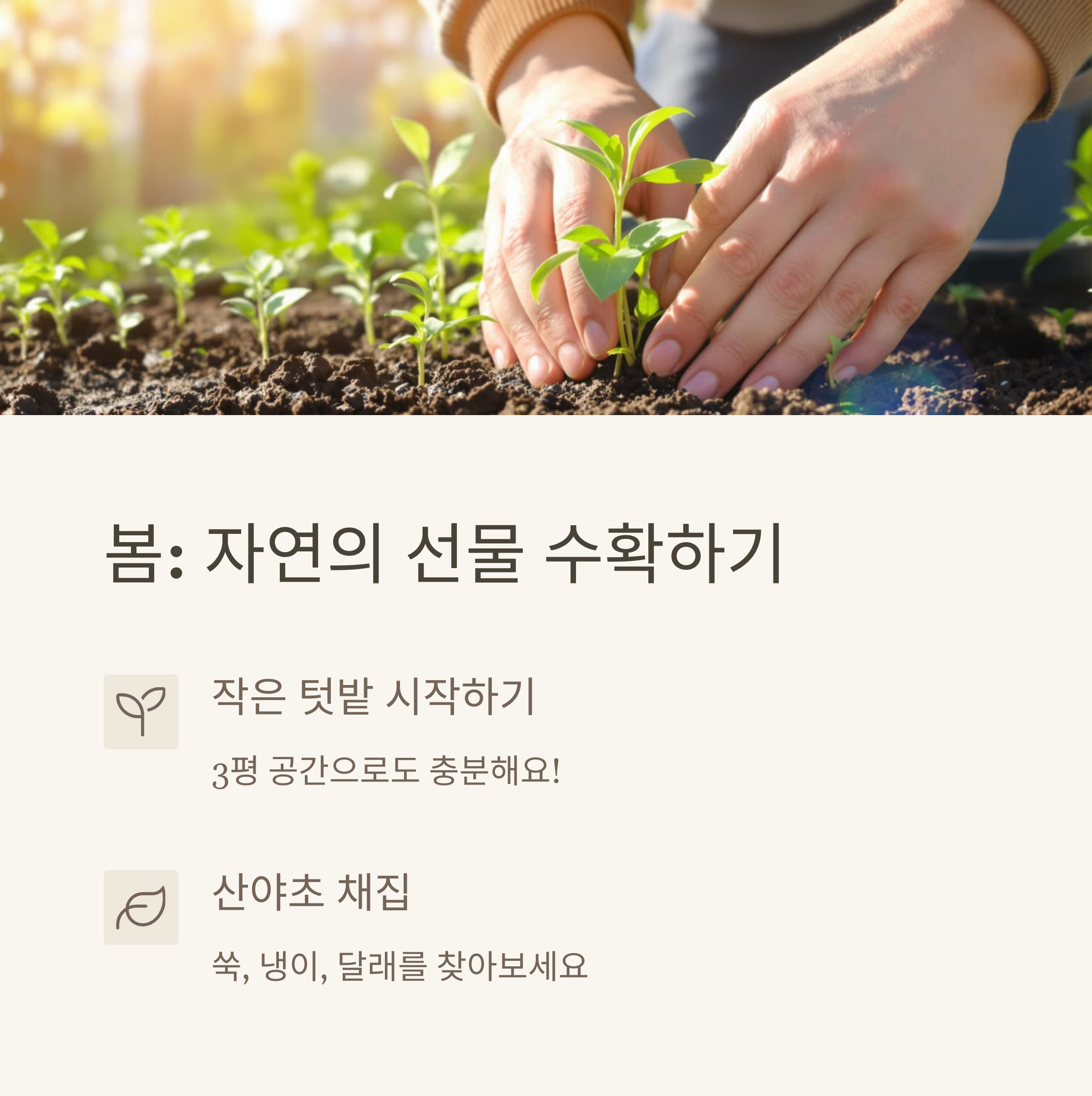 전원생활 20년차가 전하는 황금기 취미생활 완벽 가이드