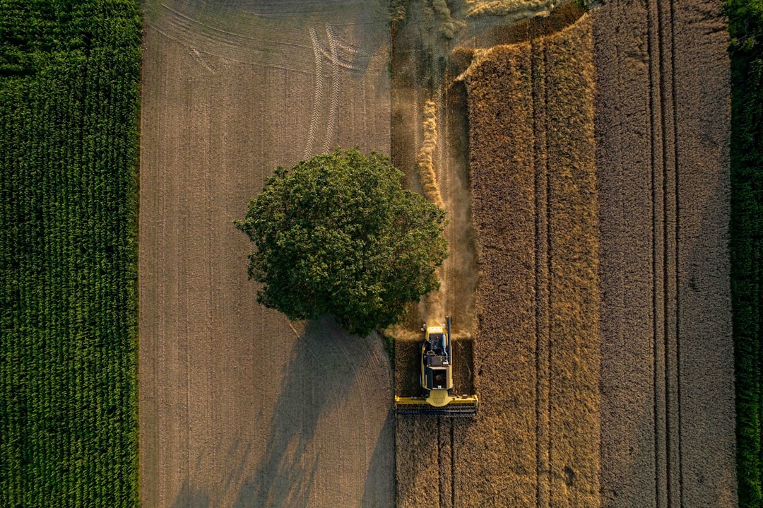 Efficiency.