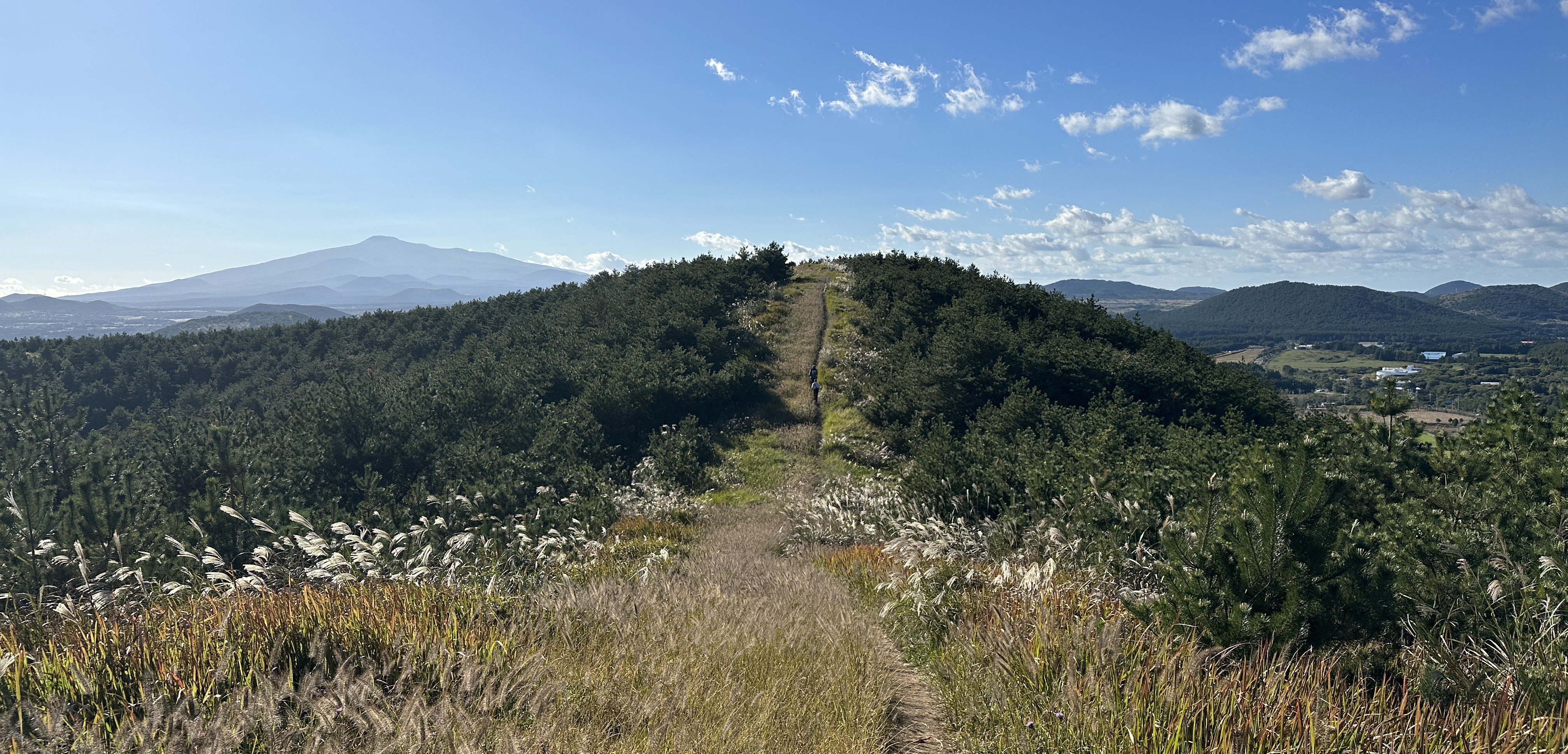 백약이오름 정상