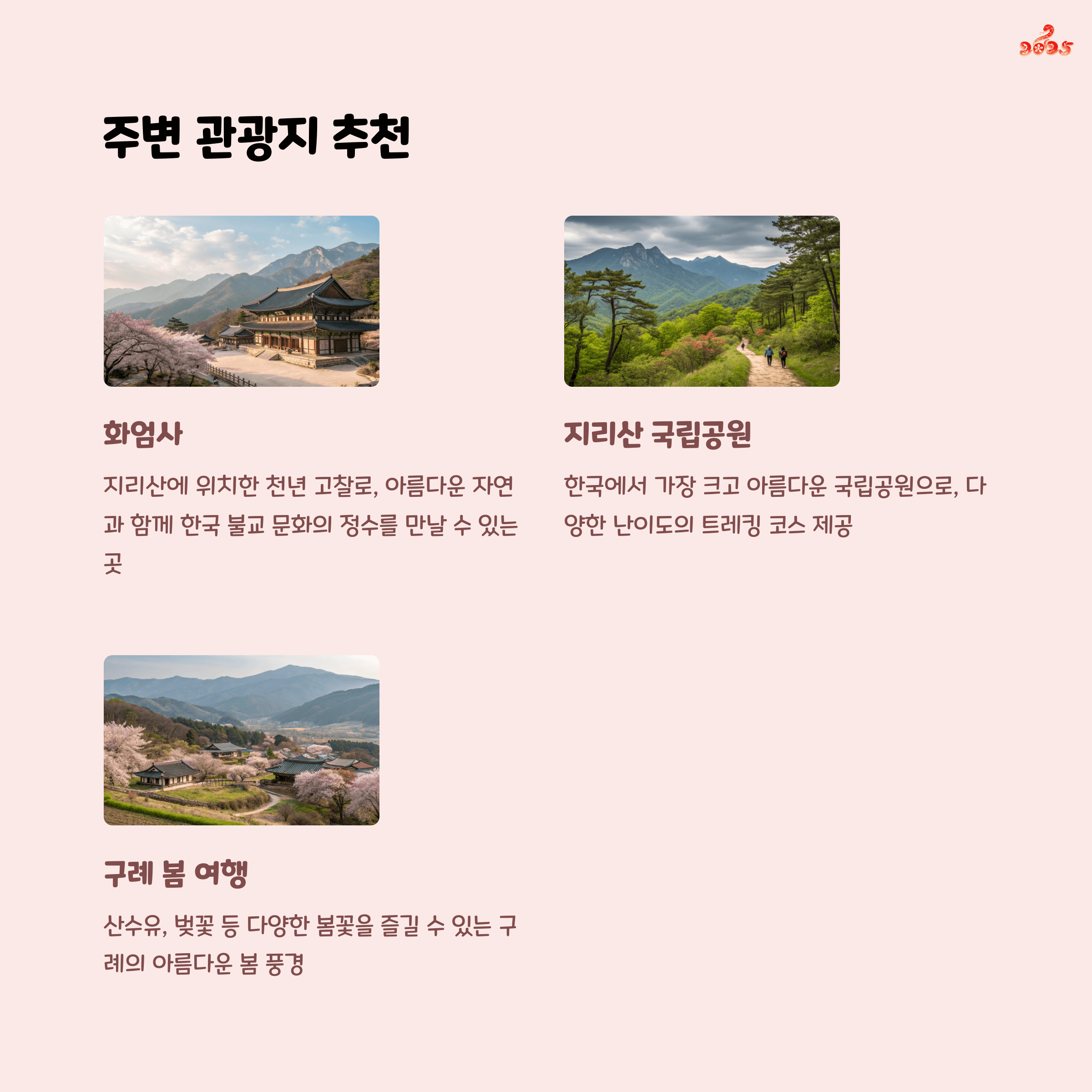 전남 구례 치즈랜드: 수선화, 치즈, 산책의 감성 폭발 명소