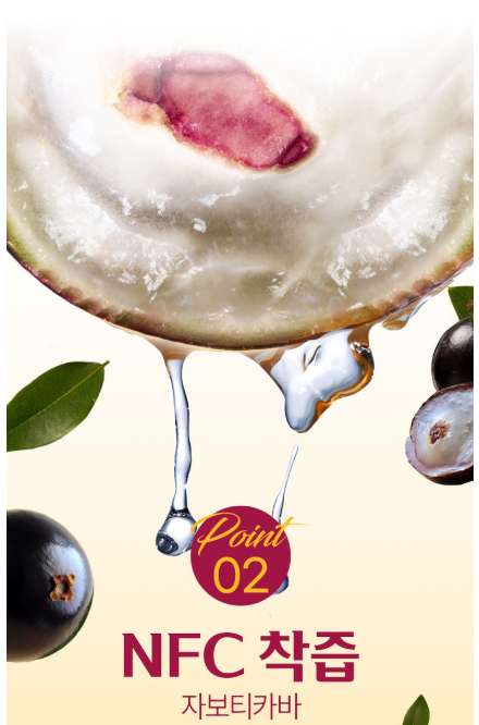 자보티카바 쥬스 NFC착즙