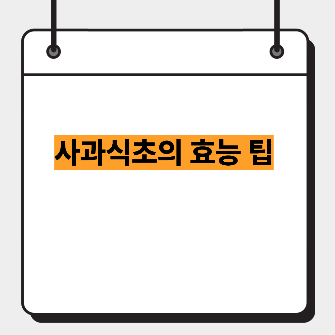사과식초의 효능 팁