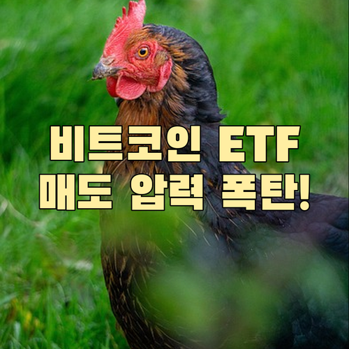 비트코인 ETF 순유출 구조적 매도 ..