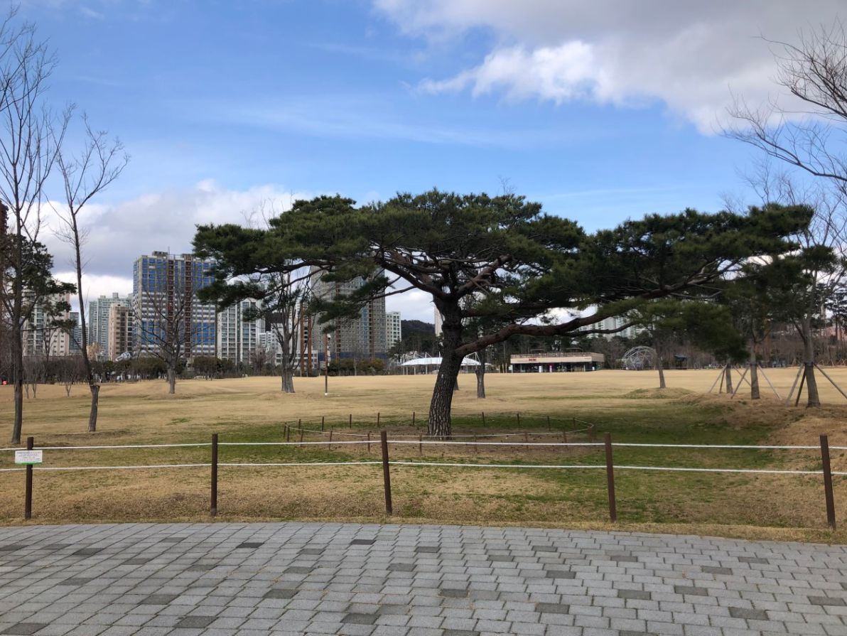 부산시민공원