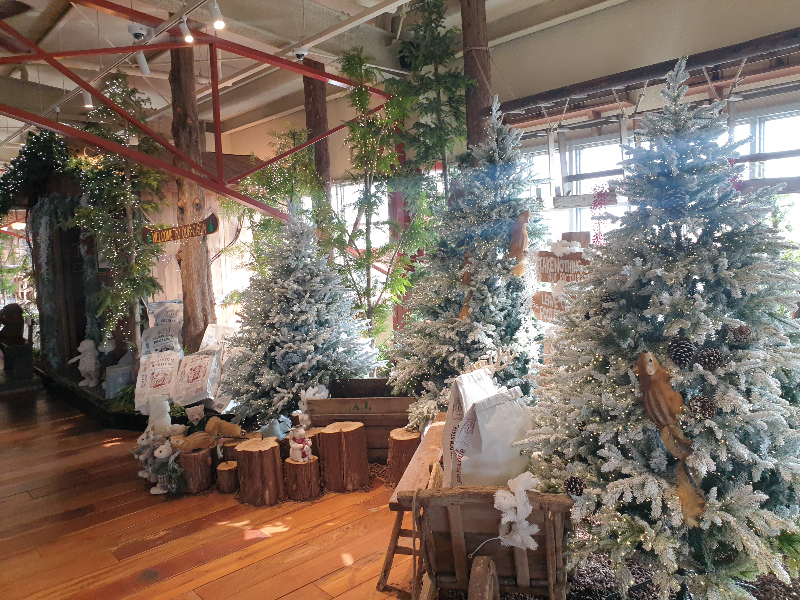 크리스마스 트리로 꾸민 포토존. 의자에 앉아 사진을 찍을 수 있다.