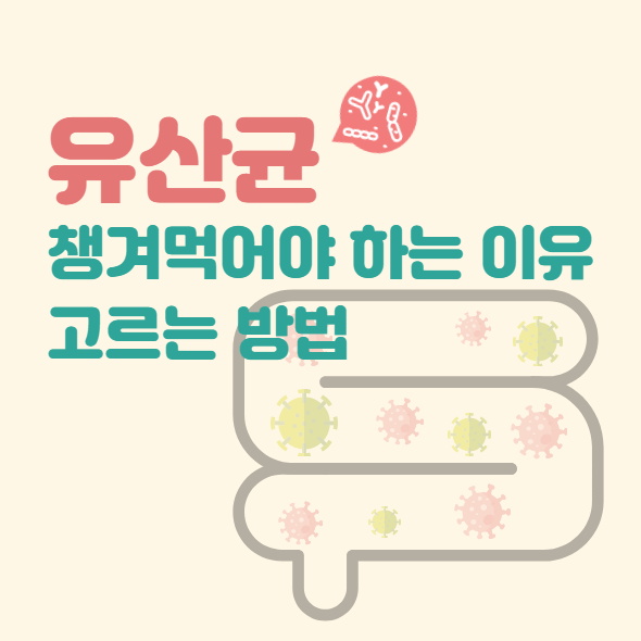 유산균 챙겨야 하는 이유 썸네일
