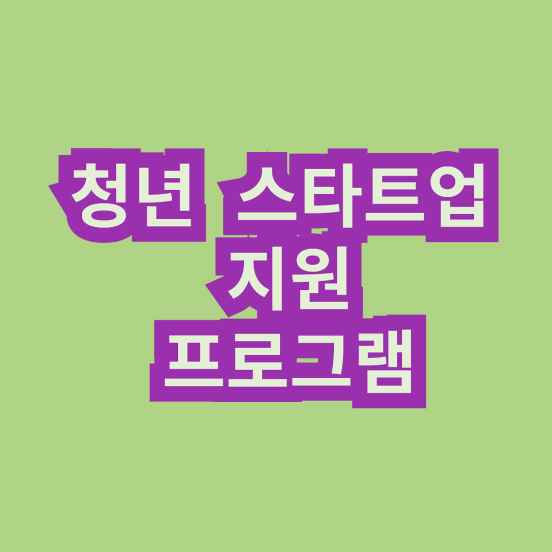 청년 스타트업 지원 프로그램