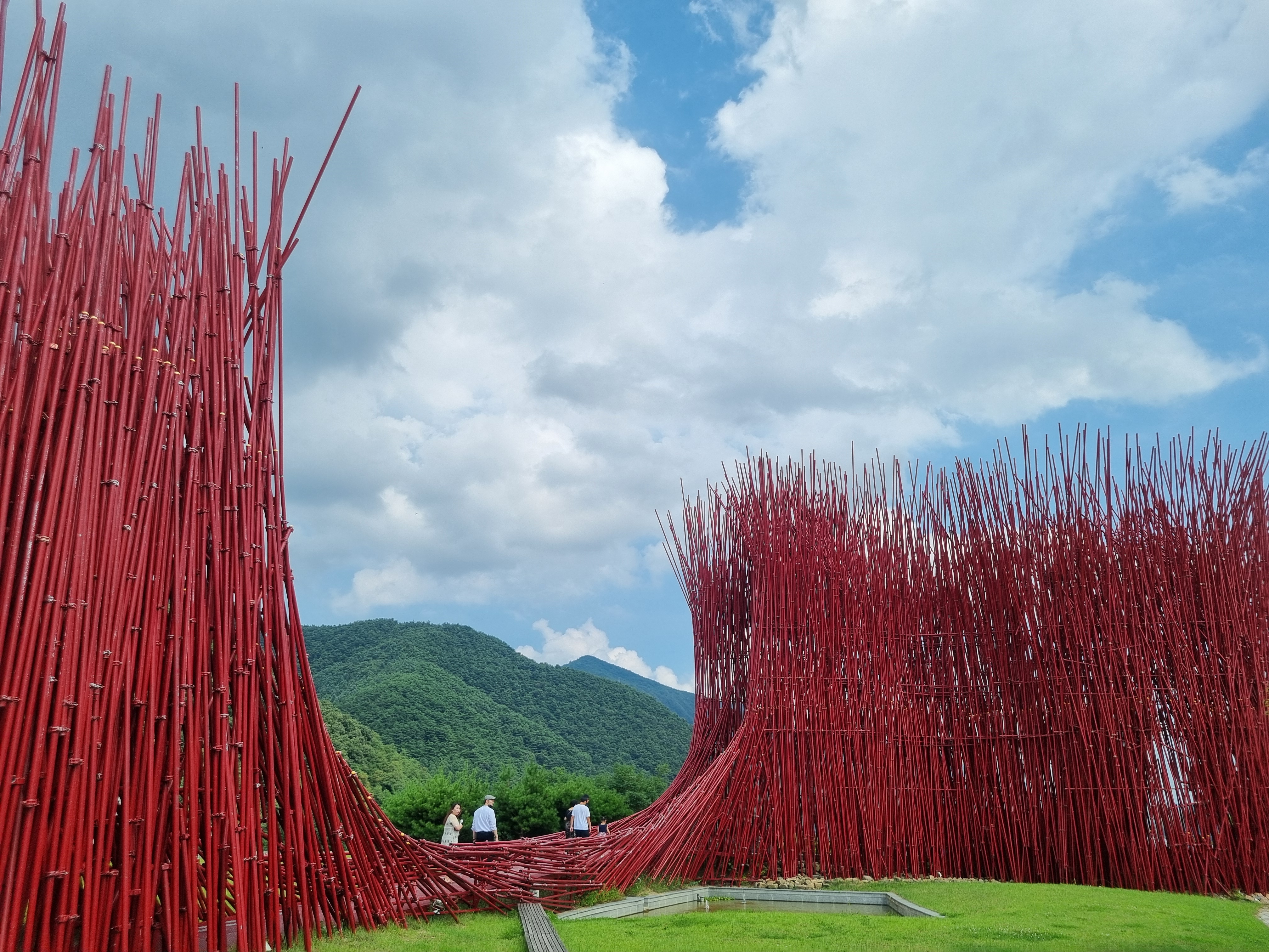 젊은달 와이파크