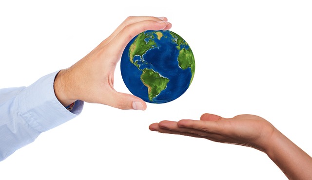 도시 농업이 미래 세대에 제공하는 기회