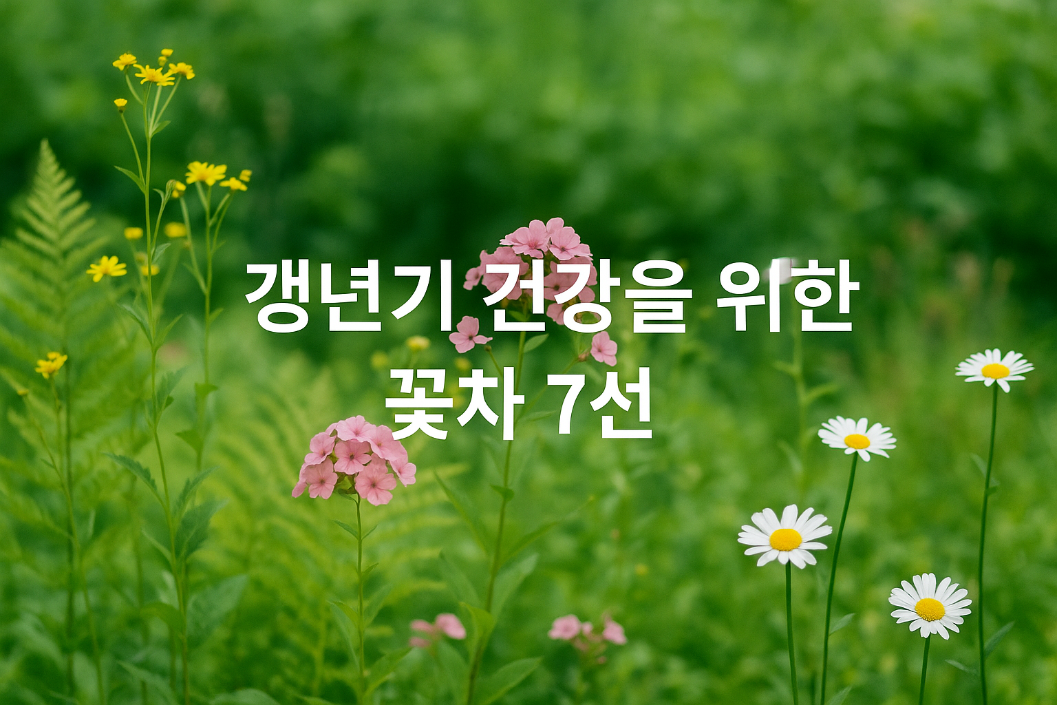 갱년기 건강을 위한 꽃차7선 관련 이미지