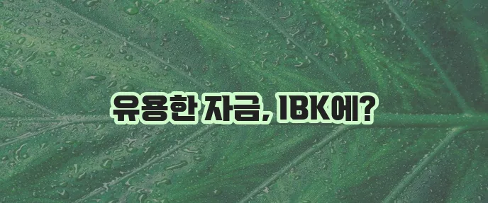 기업은행 직장인 신용대출 마이너스통장 완벽 소개합니다!