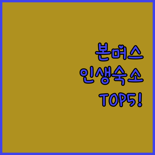 영국 본머스 비치 숙소 추천 TOP ..