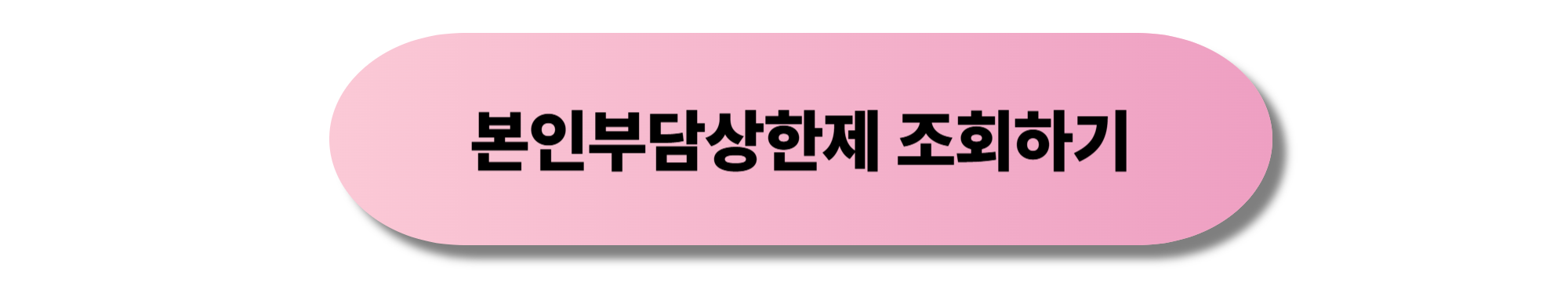 본인부담상한제