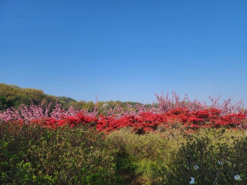 전주 완산공원