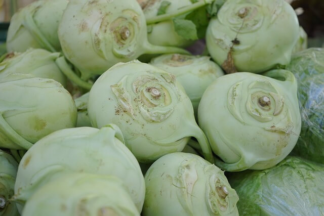 콜라비 맛있게 먹는법 3가지