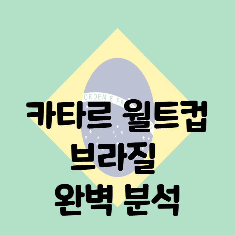 카타르 월드컵 브라질