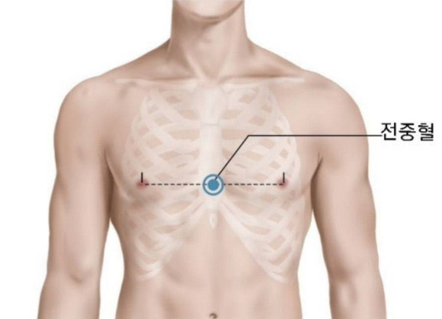 인체의 365혈 중에서 양쪽 젖꼭지를 직선으로 이은 선의 중앙에 위치를 한 전중혈을 해부학적으로 그린 그림