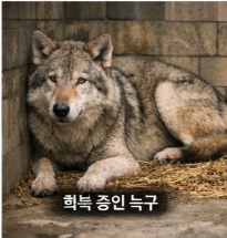 대전 늑대 늑구 탈출부터 생포까지