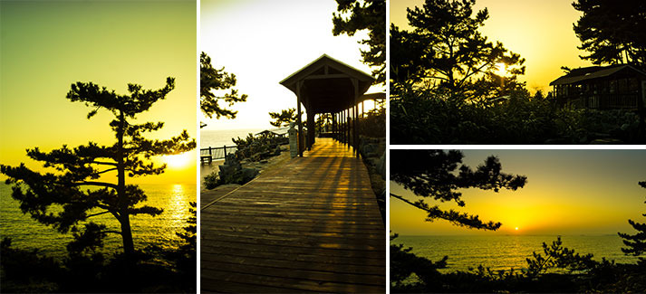 보령 죽도 상화원, 금토일에만 열리는 서해 섬정원 완전 정복!