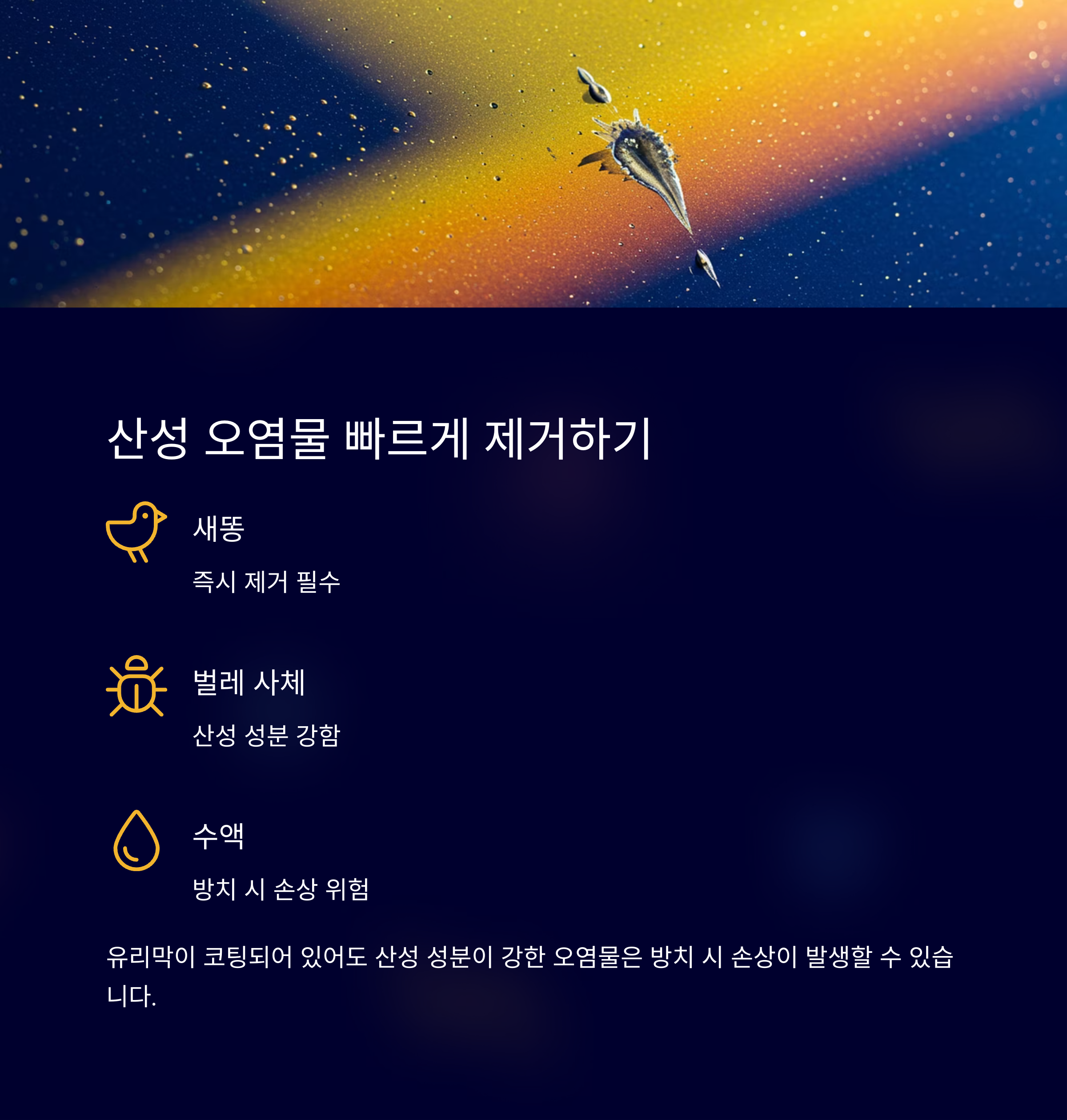 수원덴트프로