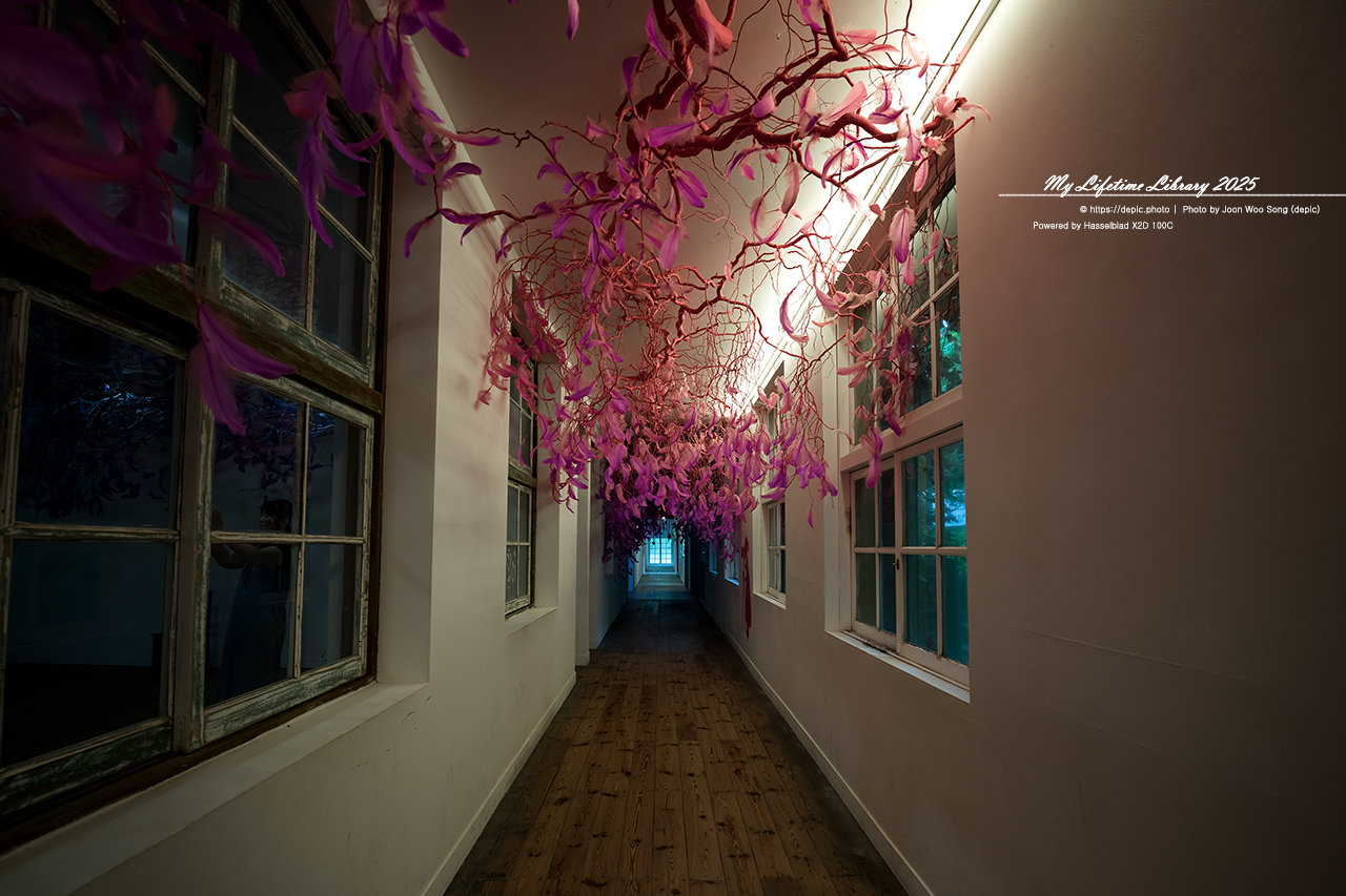 #당진 #예술 #아미미술관 #폐교 #미술관