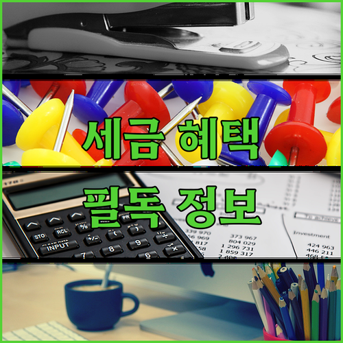 사업자 필독! 카슐랭 장기렌트 세금 