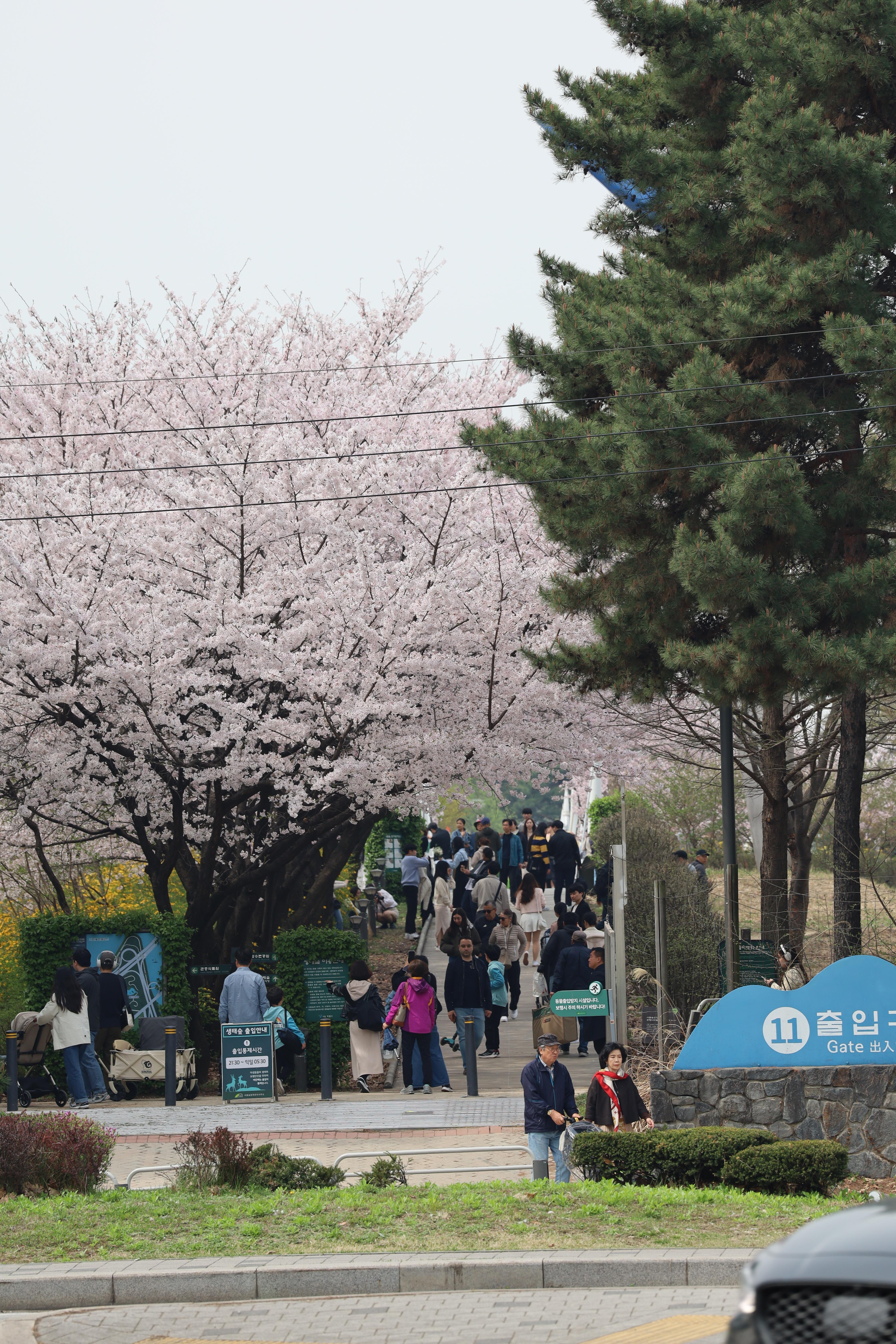 마우스 우클릭, 다른 이름으로 사진 저장 img |무료 이미지 다운로드