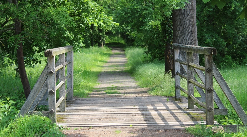 건설기계 종류, 임대 비용과 효율적 운용 방법
