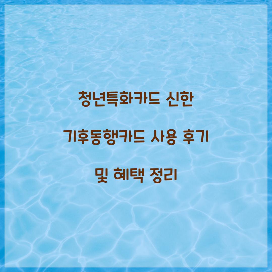 청년특화카드 신한 기후동행카드