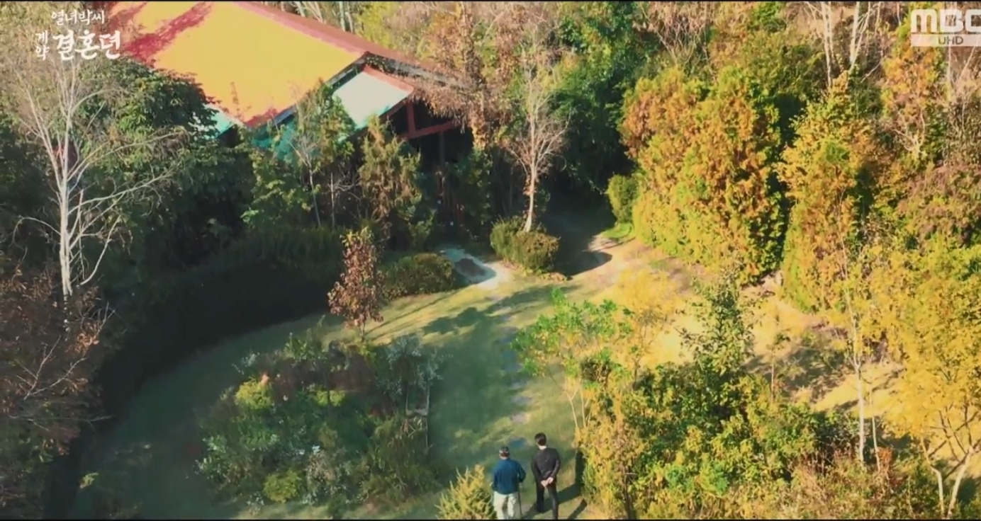 미술관 자작나무숲 항공숏