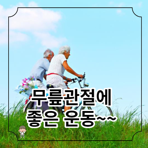 무릎 관절에 좋은 운동