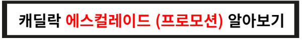 에스컬레이드 프로모션