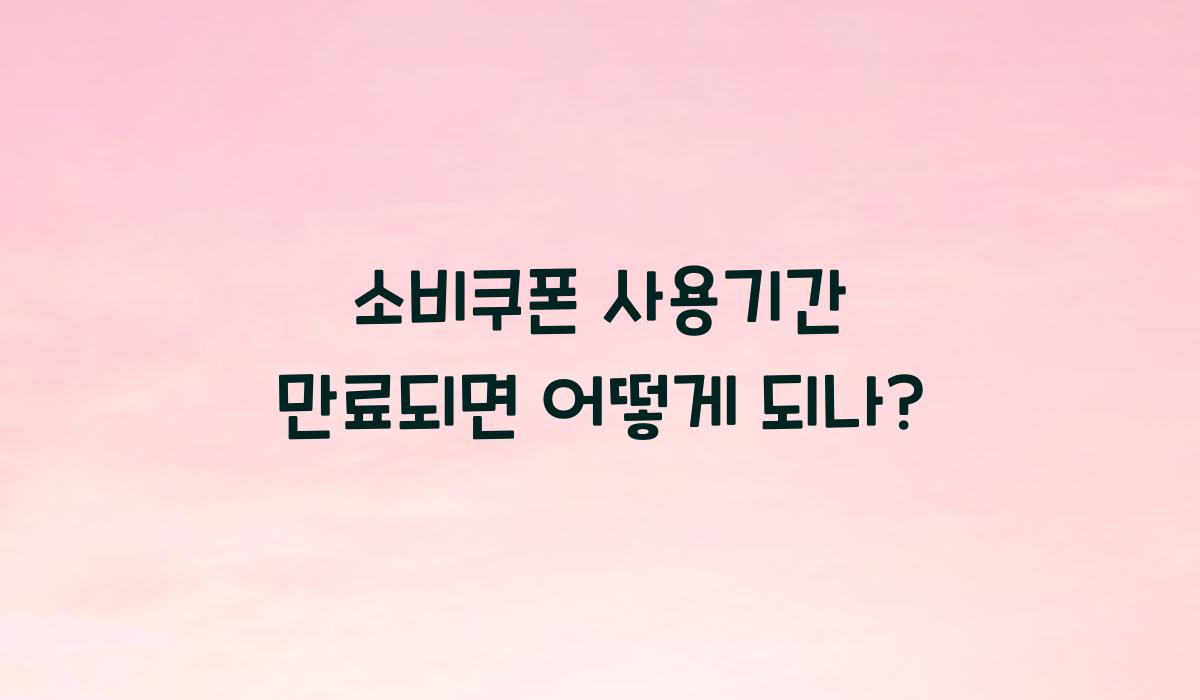 소비쿠폰 사용기간 만료되면 어떻게 되나?