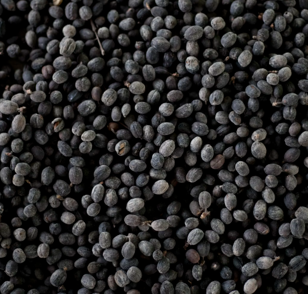 자궁에 좋은 음식