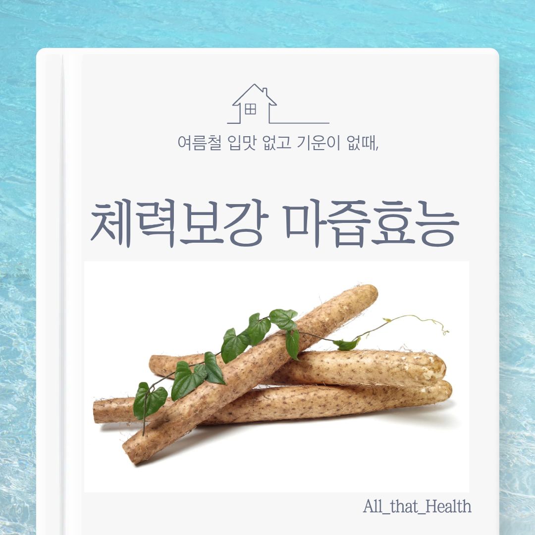 마즙효능 마알레르기 마쥬스 마요리