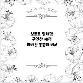 보르르 일체형 구연산 세척 라비킷 통분리 비교