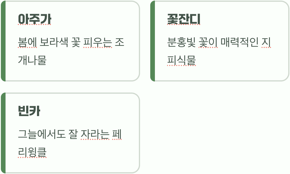 최고의 단짝, 지피식물